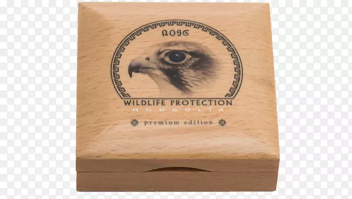 ������ӥ-������