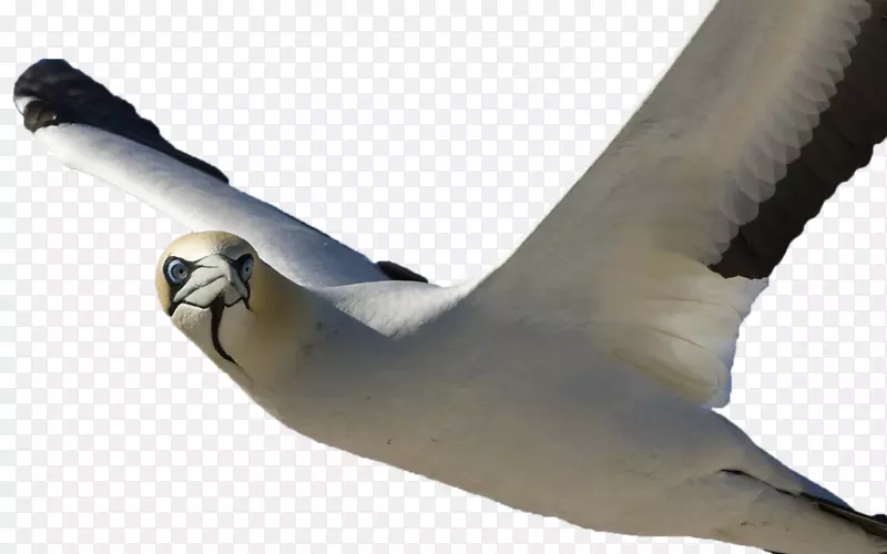 �滭���������-�滭-������