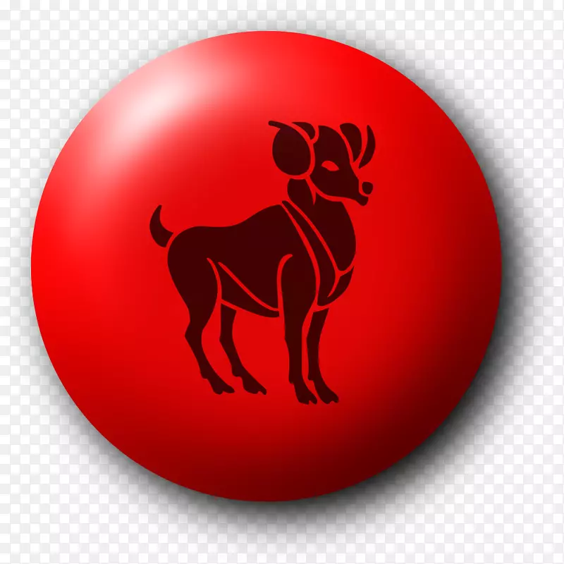 ����������ռ����-������-������