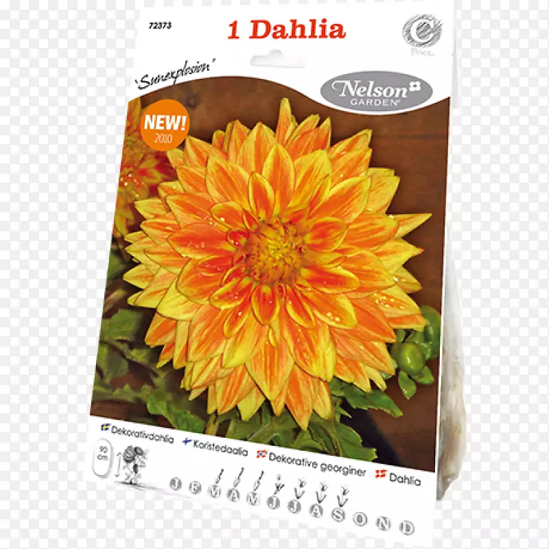 ��ͨ���տ����Ӵ������ջ����տ�-������