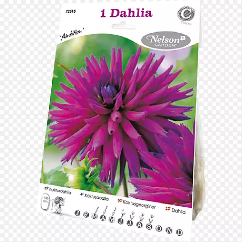 �������������㿪��ֲ��-������-������