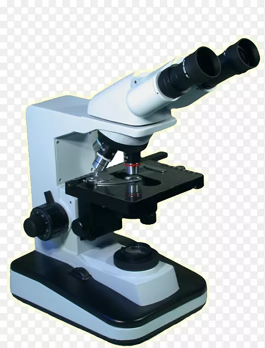 ��΢��-��΢��-������