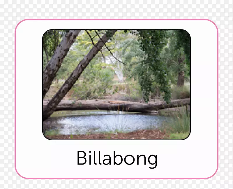 ���ϸ�ֲ��԰������԰-������