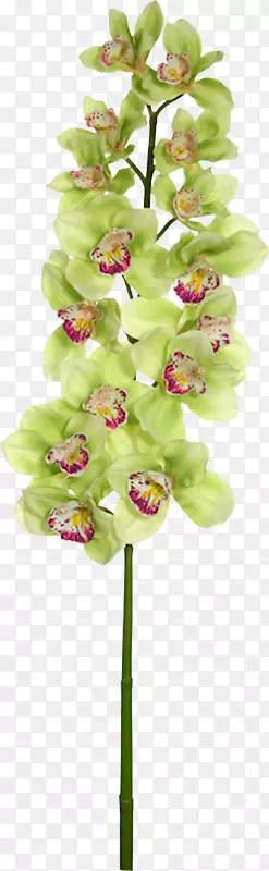 �ɶ������л�����-������