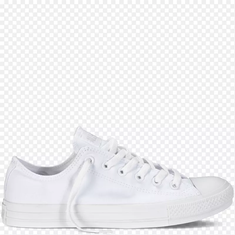 �˶�Ь����ѵ�����-������