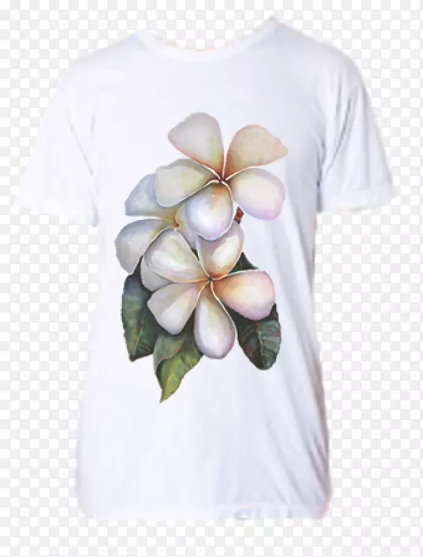 t���侱����ֲ��.t��-������