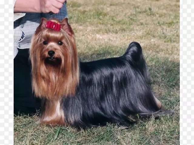 ����˿����Ȯ������ȮԼ�˿���Ȯŵά����ȮĪ��-������