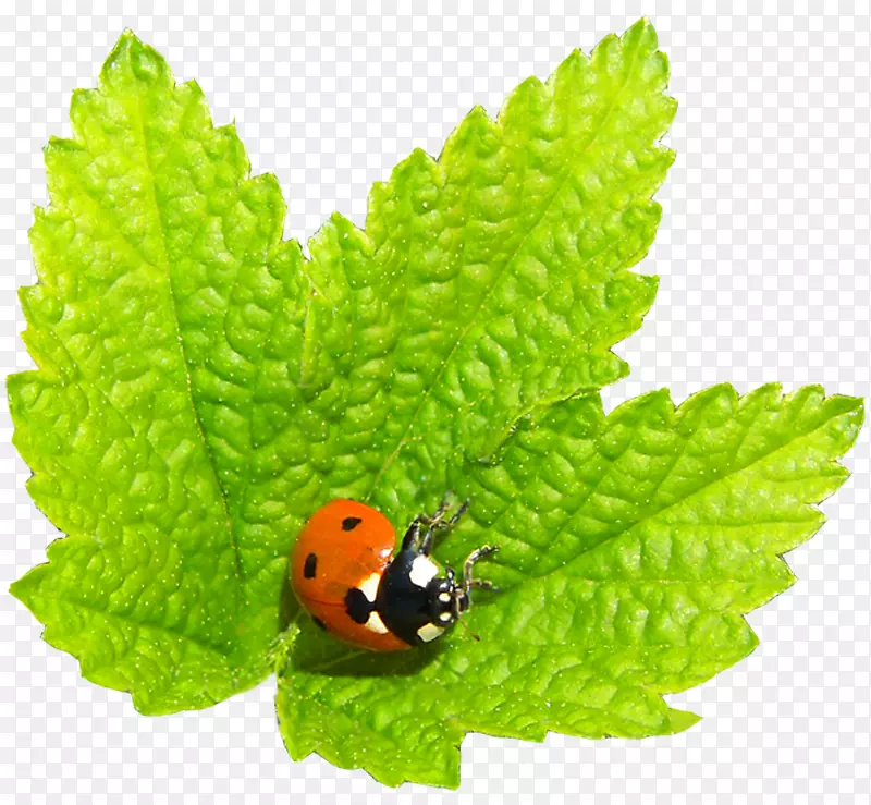 ����u0411u043eu0440u0434u044eu0440������ֲ��-ư��-������