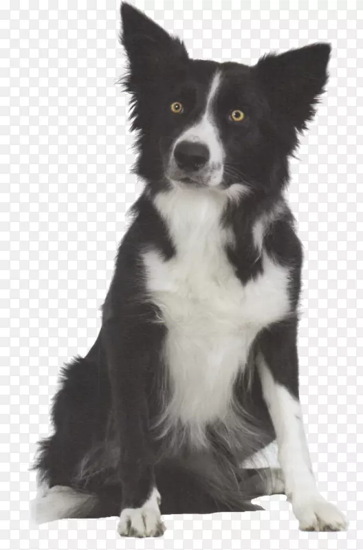 �߾�����Ȯ-������