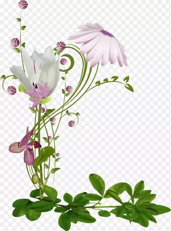 ������Ƽ�����-����-������