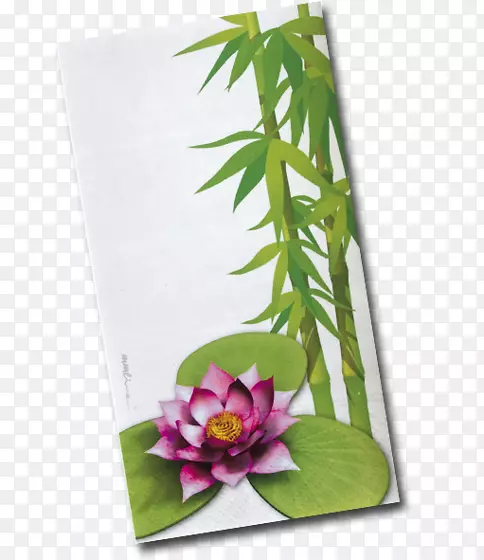 ������ƻ���Ҷ����ֲ��.���-������