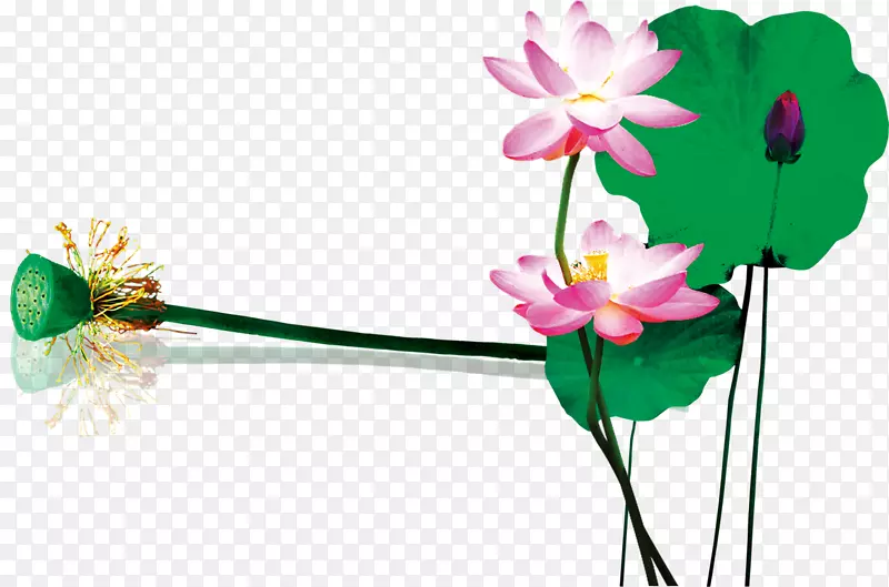 ˮ�ʻ���ź-������