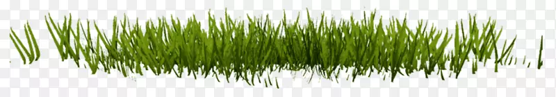 ��ƺ�����ֽ������-������