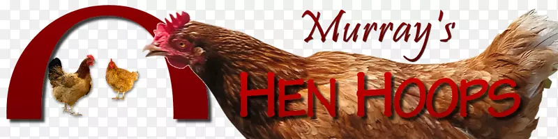 ����������-����-������