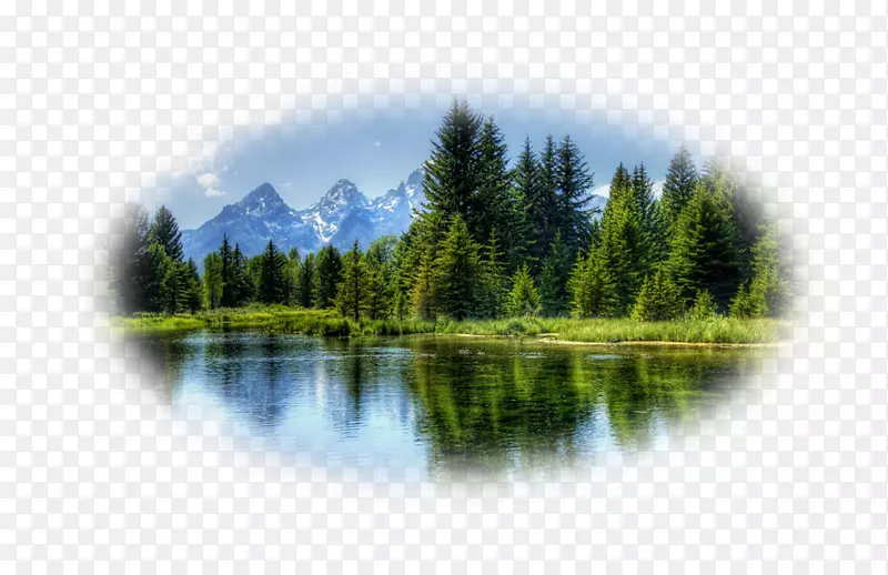 ɽˮ��Ȼ��ˮ-������