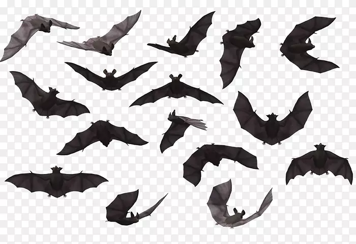 ������ݼ�������-����-������