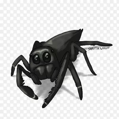 ����-������