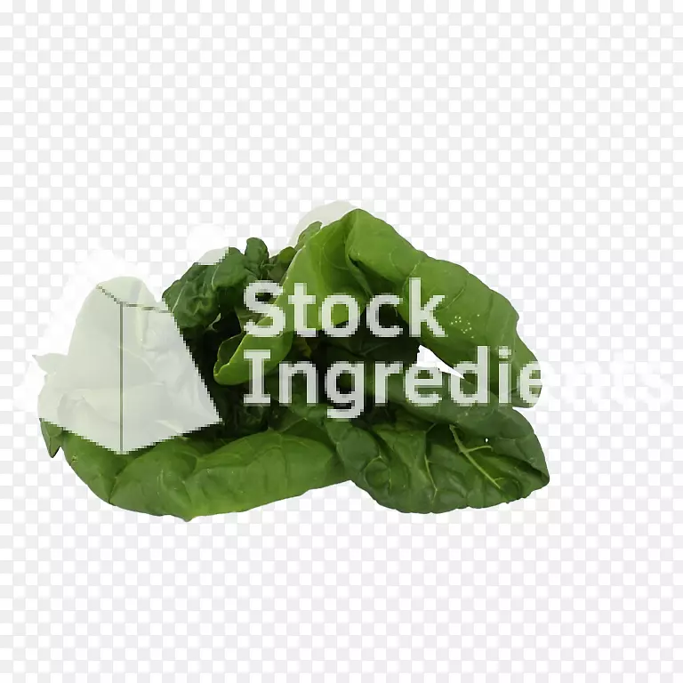 Ҷ����Ҷ-������