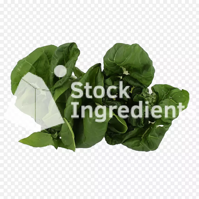 ����Ҷ-������