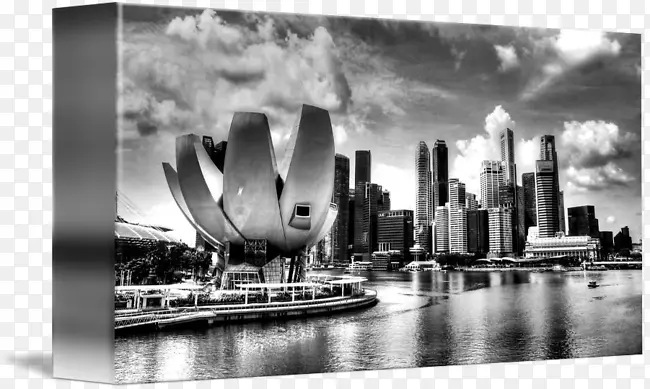 ������Ӱˮ������Ӱ��Ӱ-���о���-������