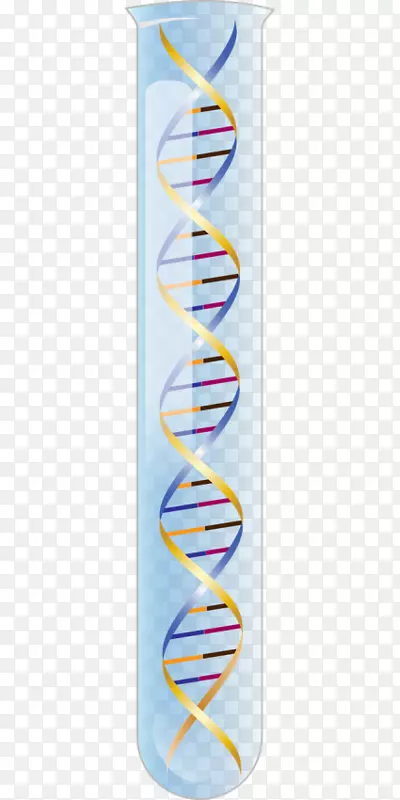 RNA����˫������ѧdna-������