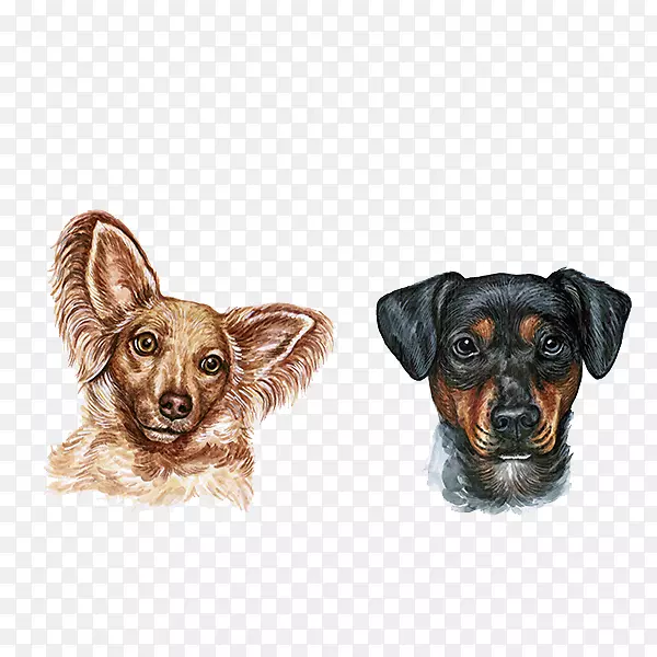 ˮ�ʻ�.ˮ�ʹ�-������