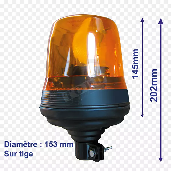 ��������������ɫS.A��±�����-������