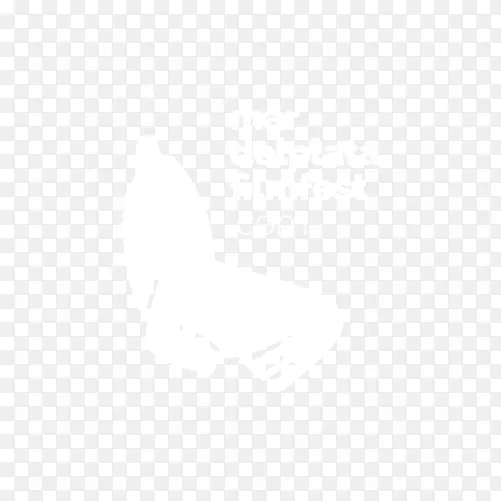 ���ϴ�˹��������װ����Ь-mardel plata-������