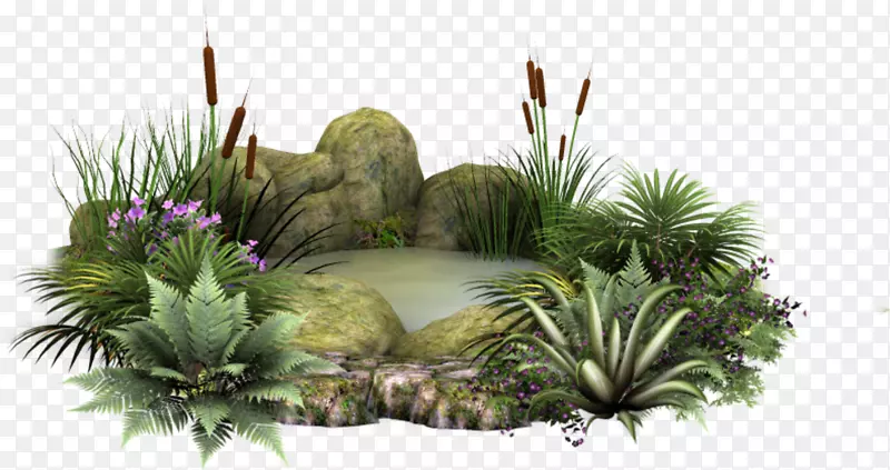 ��Ů����-������