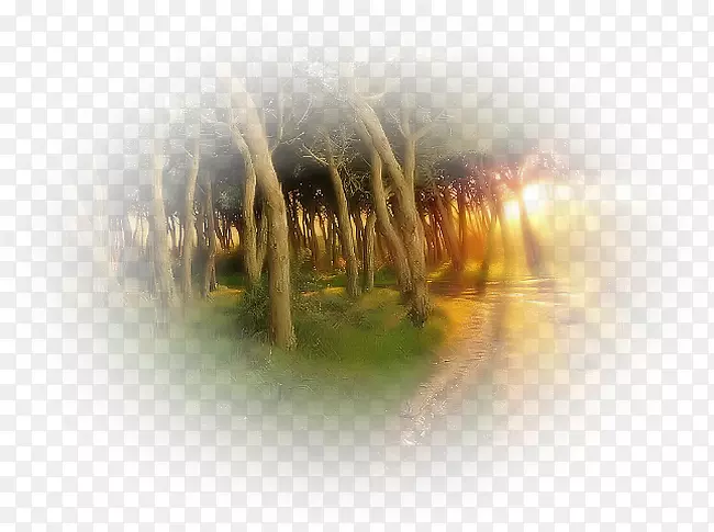 ���������ֽ��д��������-������