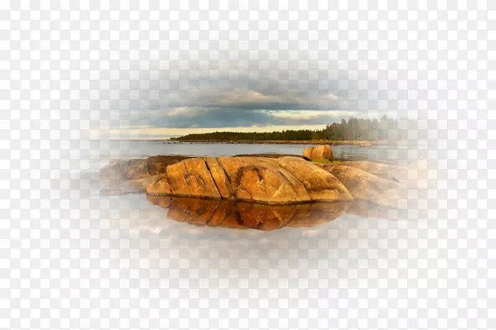 �����ֽ����-������