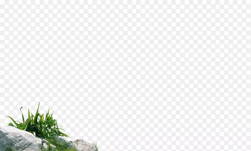 ����ʯ��-������