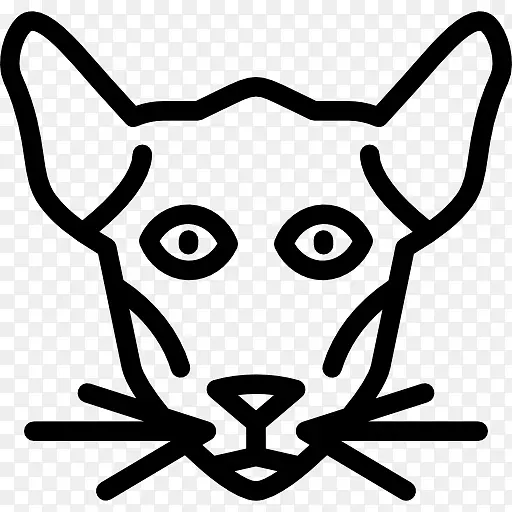 ����è�����Ӽ�����è-������