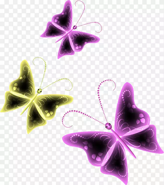 �Գ�����-װ��-������