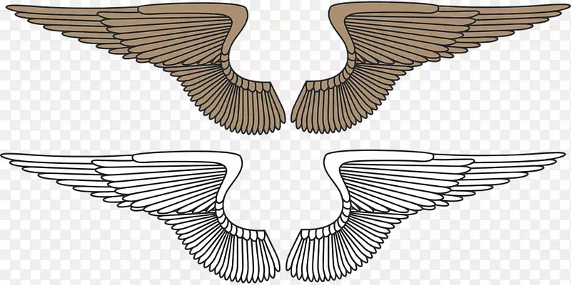 ��ӥ������-ӥ-������