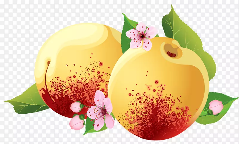 ���������ֻ�����-������