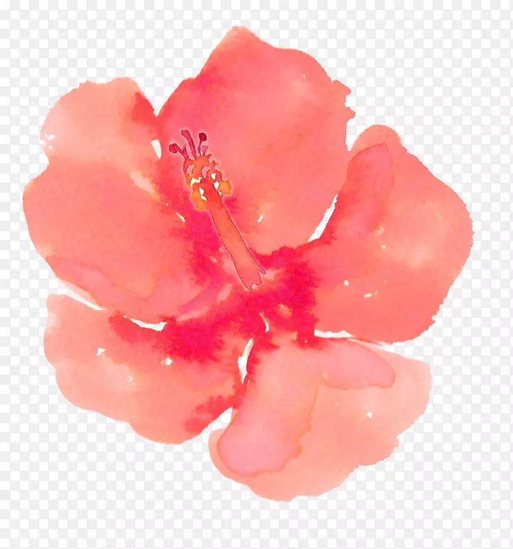 ˮ�ʻ����ؼ������ֻ�ˮ�ʻ��Һ�ɫ����-������