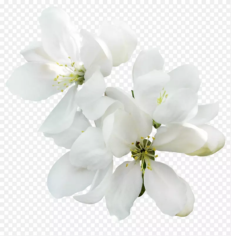 �����ȿ�����������-������