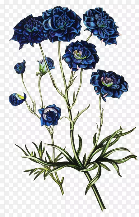 �������-������