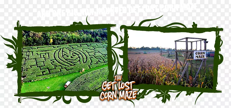 ũ���˹�������-������