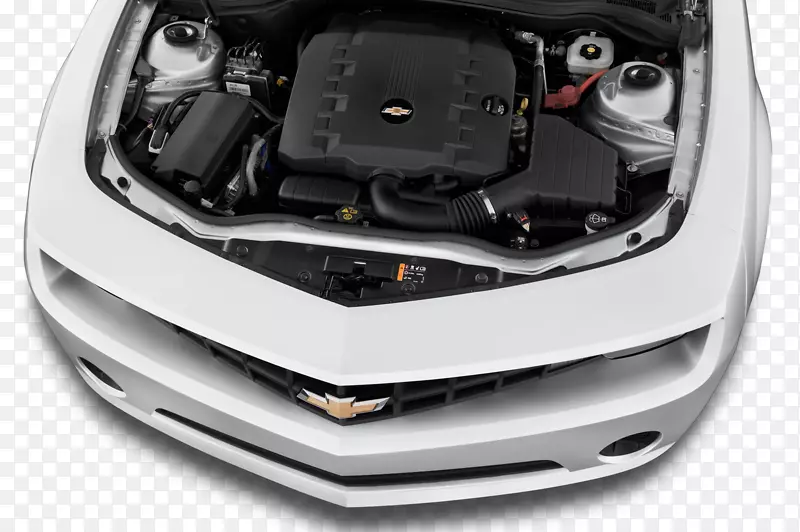 �����������ո�������դ��-������