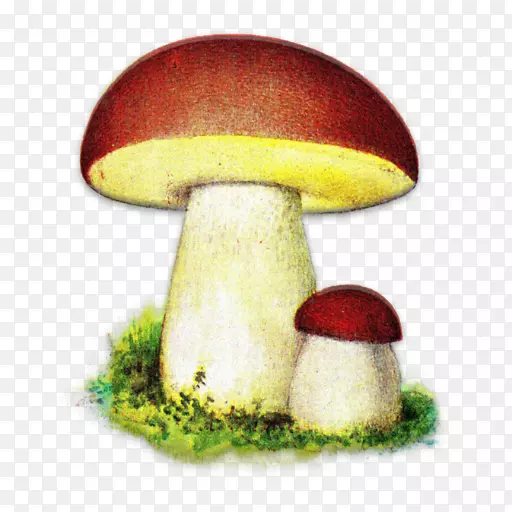 Android��������-Android-������