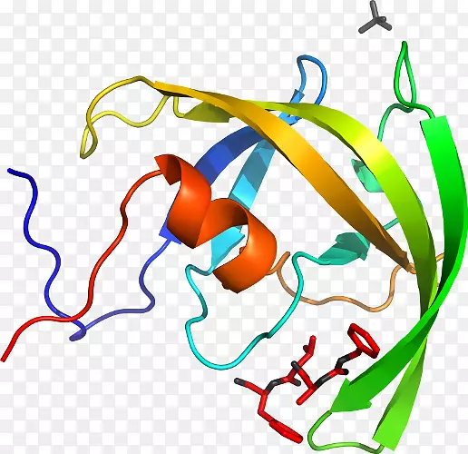 �ߵ������������-������