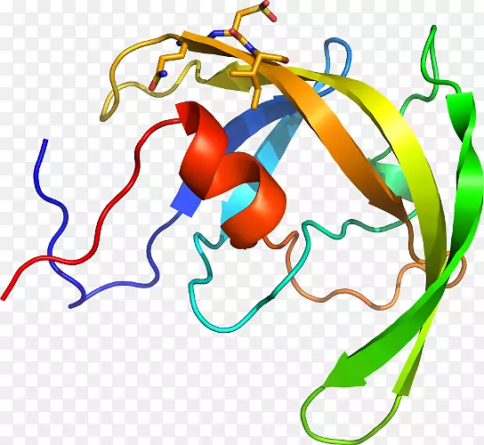 �ߵ������������-������