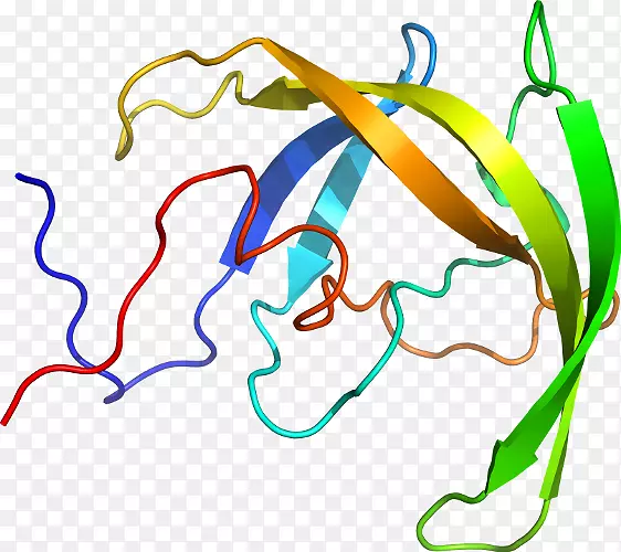 �ߵ������������-������