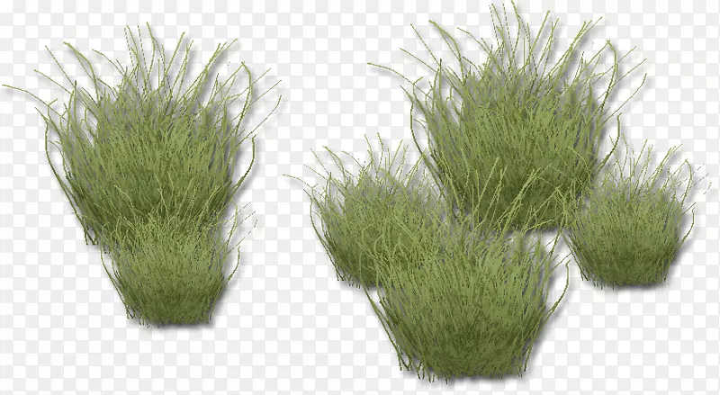 �ݱ�ֲ��ˮ���-�������ǿ�����-������