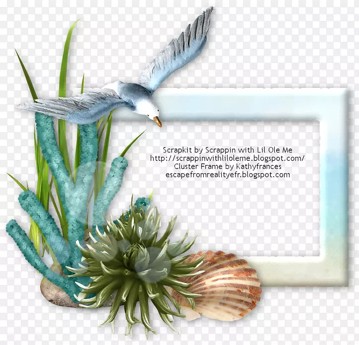 Majorelle��԰Majorelle��ɫ����ֲ��-Kathy-������