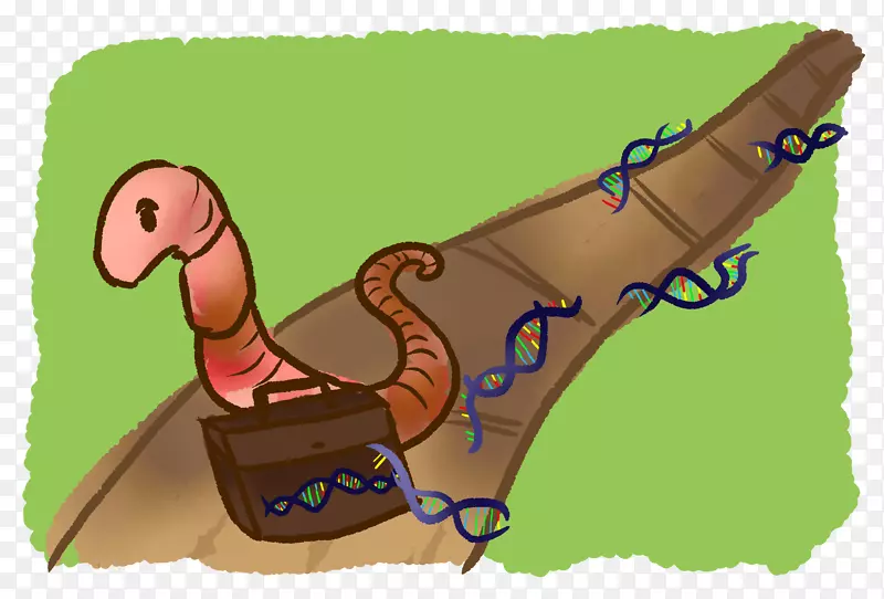 ����Ь������-������