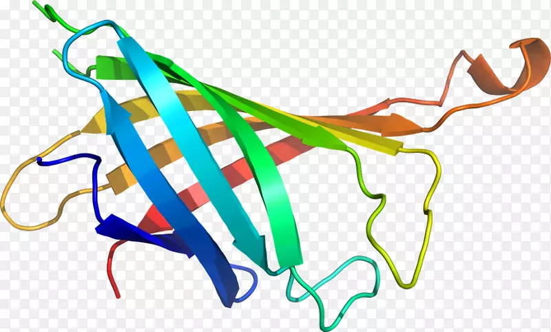 ������ƽ����Ƶ��������-������