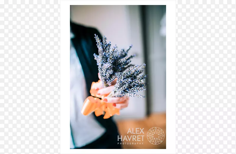 ��Ӱ-��Ƭ-������